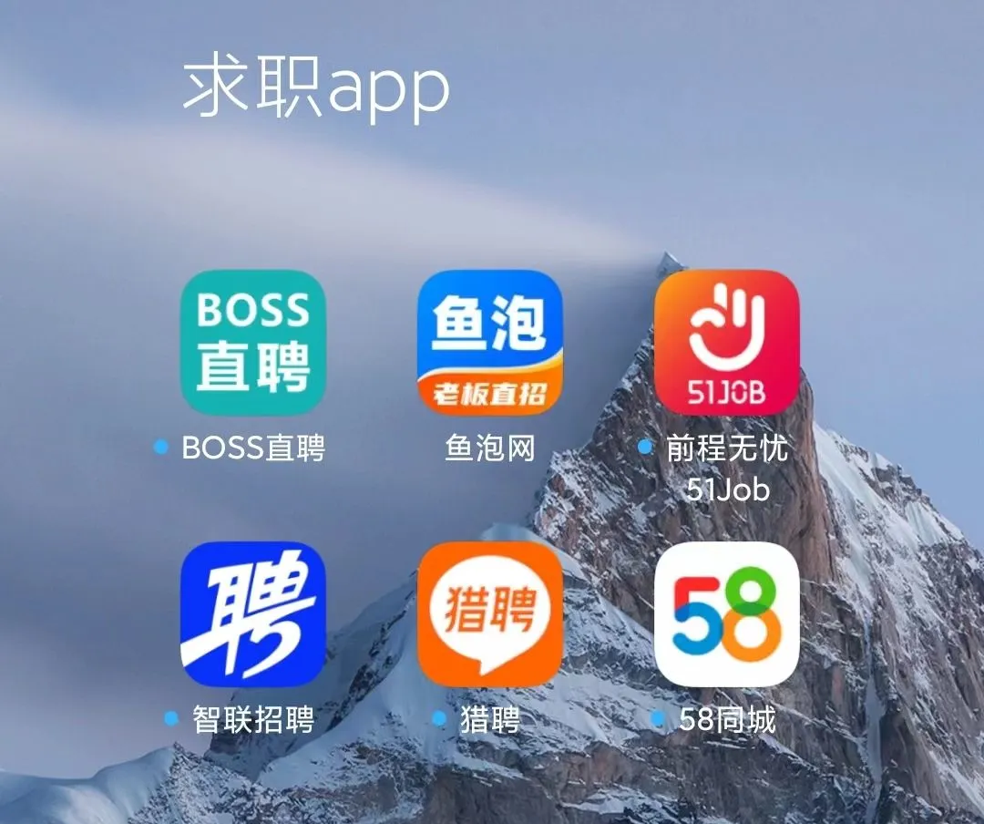 丽水最新找工作用什么平台最好方法分析(最方便真实的丽水找工作用什么平台最好2025年6月方法)